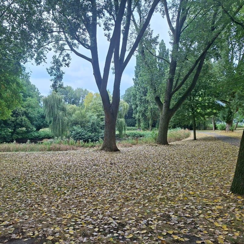 Zondag wandeling Amsterdam